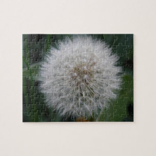 Seeding Dandelion Flower Puzzle