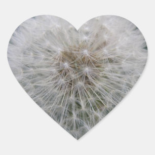 Seeding Dandelion Flower Stickers
