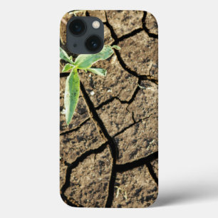 Seedling In Cracked Earth iPhone 13 Case
