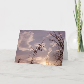 Seeds in Early Evening Card