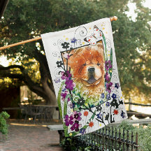 SEEDS OF CHANGE  red chow 