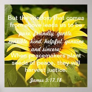 seeds of peace bible verse James 3:17-18 Poster
