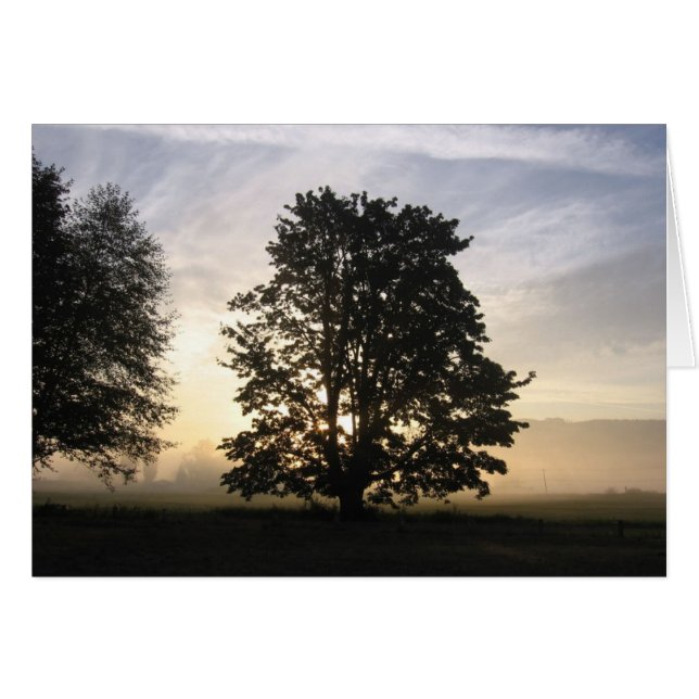 Seeing both sides card (Front Horizontal)