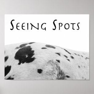Seeing Spots Poster