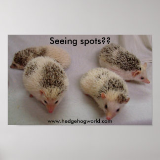 Seeing spots? poster