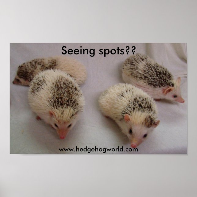 Seeing spots? poster (Front)
