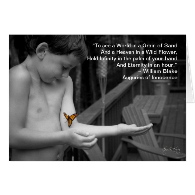 "Seeing the World" (Front Horizontal)