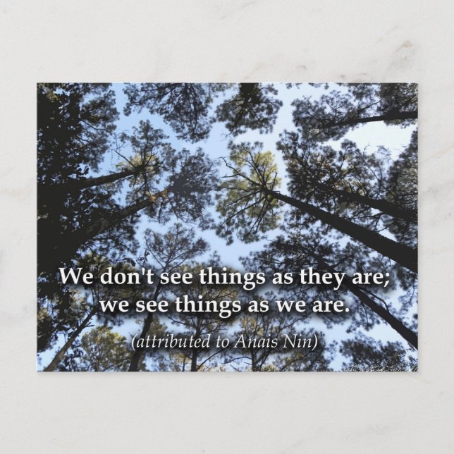 Seeing Things (Trees) Postcard (Front)