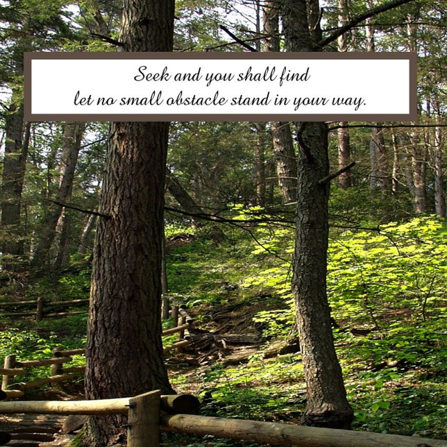 Seek and you shall find poster (Creator Uploaded)