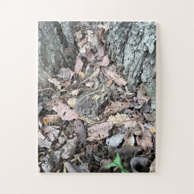 Seek + Discover Oversized Puzzle 30 piece 11"x14" (Vertical)