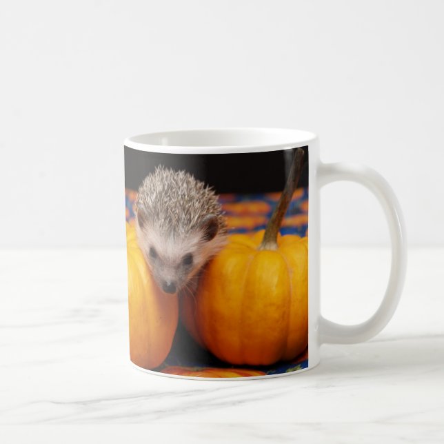 Seeking the Great Pumpkin Coffee Mug (Right)