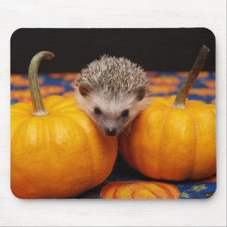 Seeking the Great Pumpkin Mouse Mat