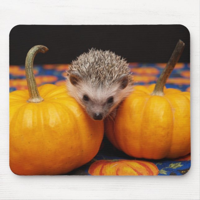 Seeking the Great Pumpkin Mouse Mat (Front)
