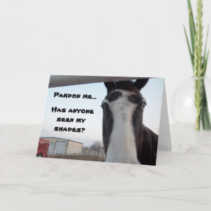 Seen My Shades? Birthday Card