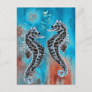 Seepferdchen Postcard