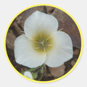 Sego Lily Classic Round Sticker