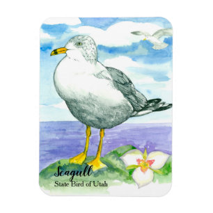 Sego Lily Seagull State Bird of Utah Magnet