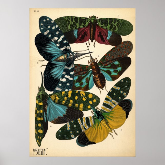 Seguy Art Noveau Vintage Lanternfly Poster (Front)
