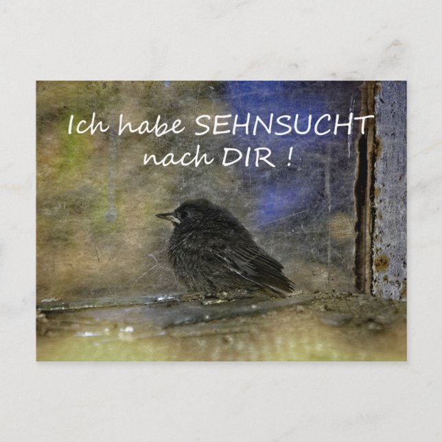Sehnsucht nach Dir  - Postcard (Front)