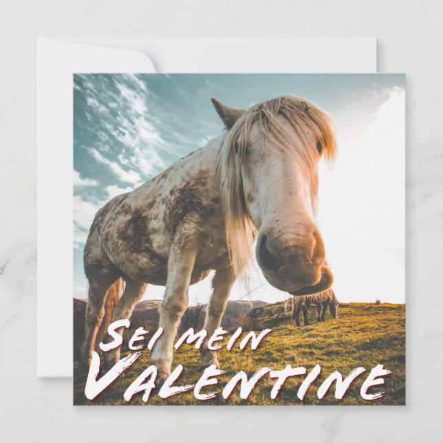 Sei mein Valentin mit schauenden Pferd (Front)