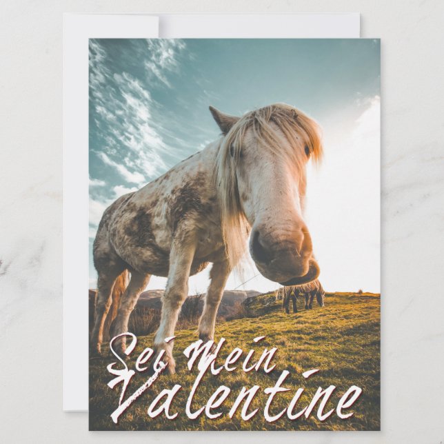 Sei mein Valentin mit schauenden Pferd  V2.0 (Front)