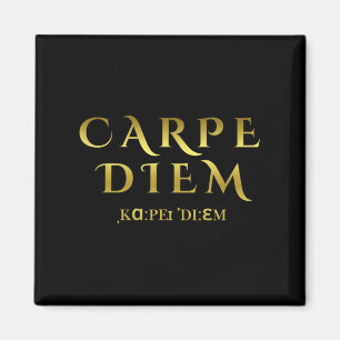 Seize Day Carpe Latin Diem Inspirational Quotes  Magnet