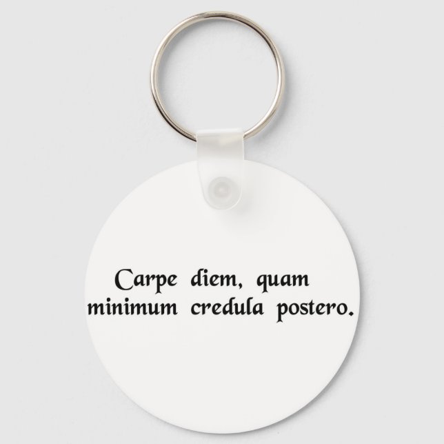 Seize the day, trust as little as possible...... key ring (Front)
