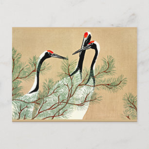 Sekka - Cranes from Momoyogusa Postcard