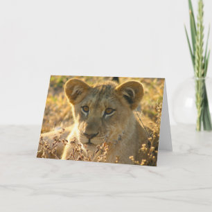 Selati Lion Cub Card