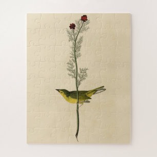 Selby's Fly catcher - Audubon's Birds of America Jigsaw Puzzle