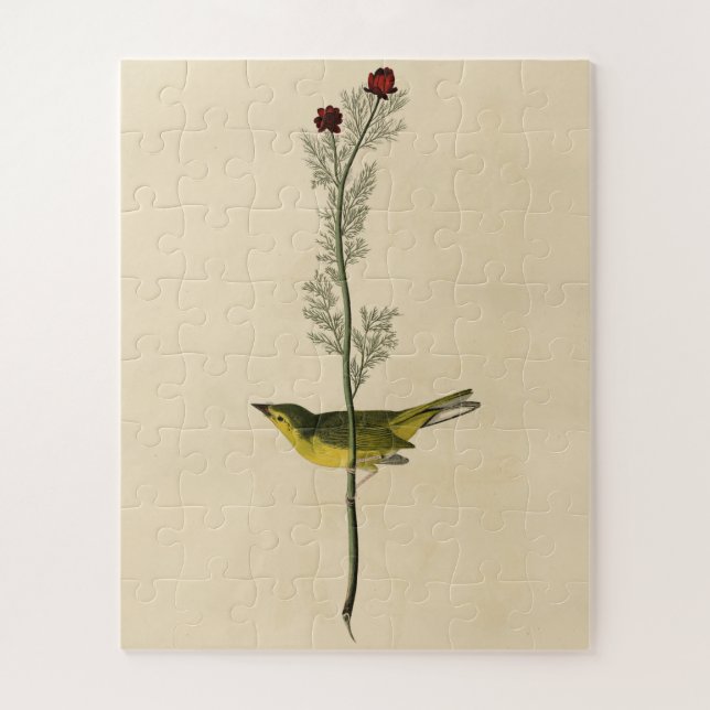 Selby's Fly catcher - Audubon's Birds of America Jigsaw Puzzle (Vertical)
