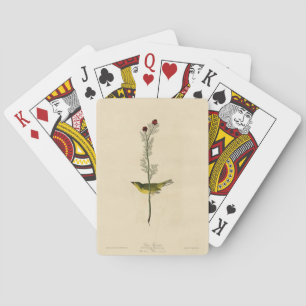 Selby's Fly catcher - Audubon's Birds of America Playing Cards