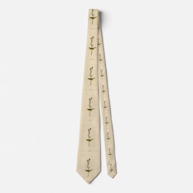 Selby's Fly catcher - Audubon's Birds of America Tie (Front)