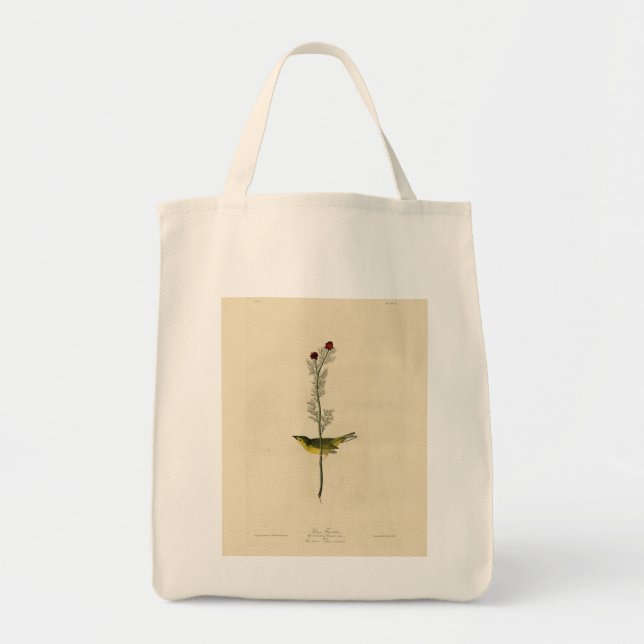 Selby's Fly catcher - Audubon's Birds of America Tote Bag (Front)