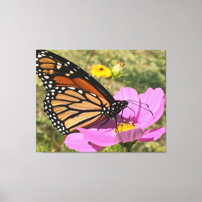 Selden Butterfly 2025 Canvas Print (Front)