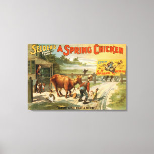 Selden's Funny Farce, A Spring Chicken Play 2 Canvas Print