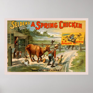 Selden's Funny Farce, A Spring Chicken Poster
