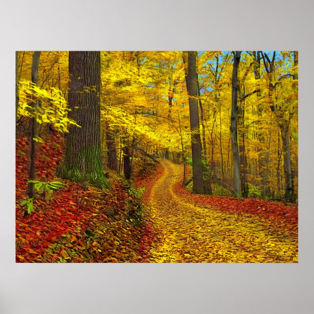 Seldom used road , print (Front)