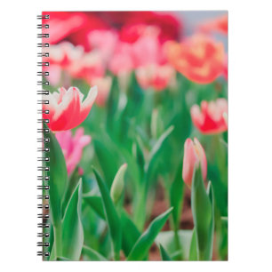 Select focus, Amazing nature of Beautiful view Vi Notebook
