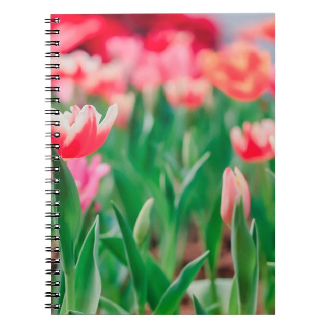 Select focus,  Amazing nature of Beautiful view Vi Notebook (Front)