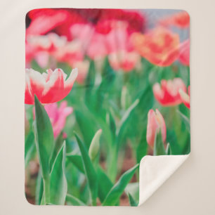 Select focus, Amazing nature of Beautiful view Vi Sherpa Blanket