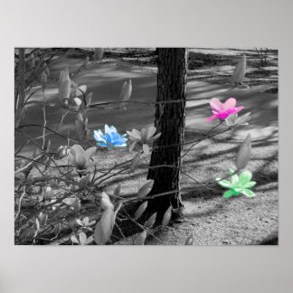 Selected Flowers Poster