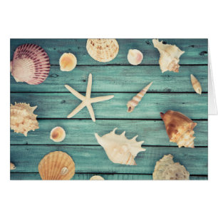 Selection Of Seashells