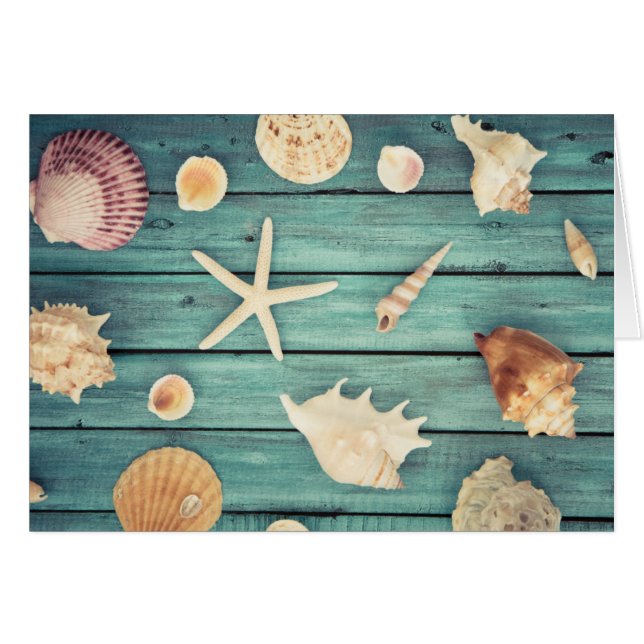 Selection Of Seashells (Front Horizontal)