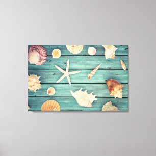 Selection Of Seashells Canvas Print