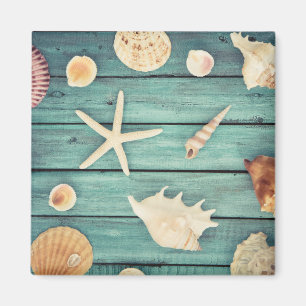 Selection Of Seashells Magnet