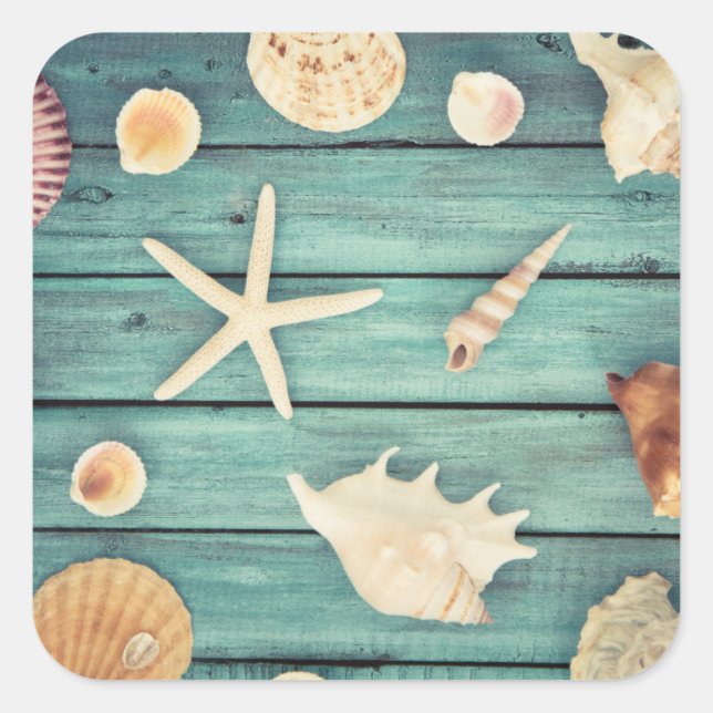 Selection Of Seashells Square Sticker (Front)