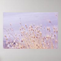 SELECTIVE FOCUS PHOTOGRAPHY OF GRASS FIELD