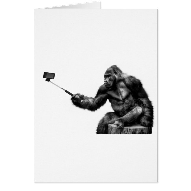 selfie stick (Front)