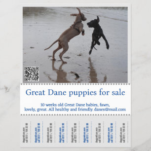 Seller Poster Flyer